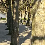 Auf Dem Karlsberg * Weilburg