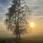 Auf Dem Karlsberg *